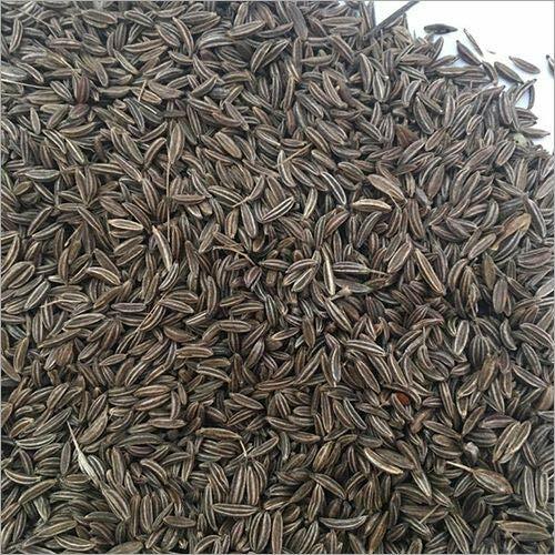 Indian Premium Black Cumin Seed, Shahi jeera Caraway Seeds Shah jeera FREE SHIP