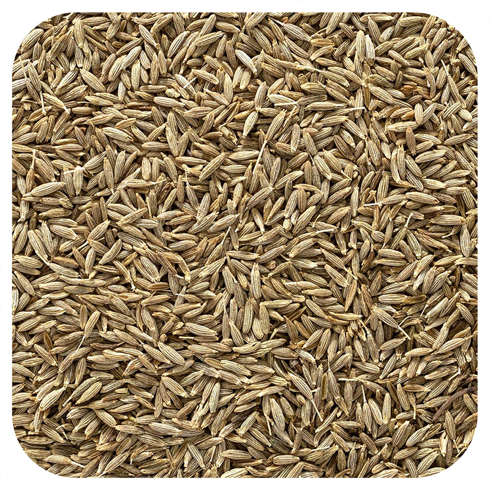 Frontier Natural Products Organic Whole Cumin Seed 16 oz 453 g Kosher, Organic