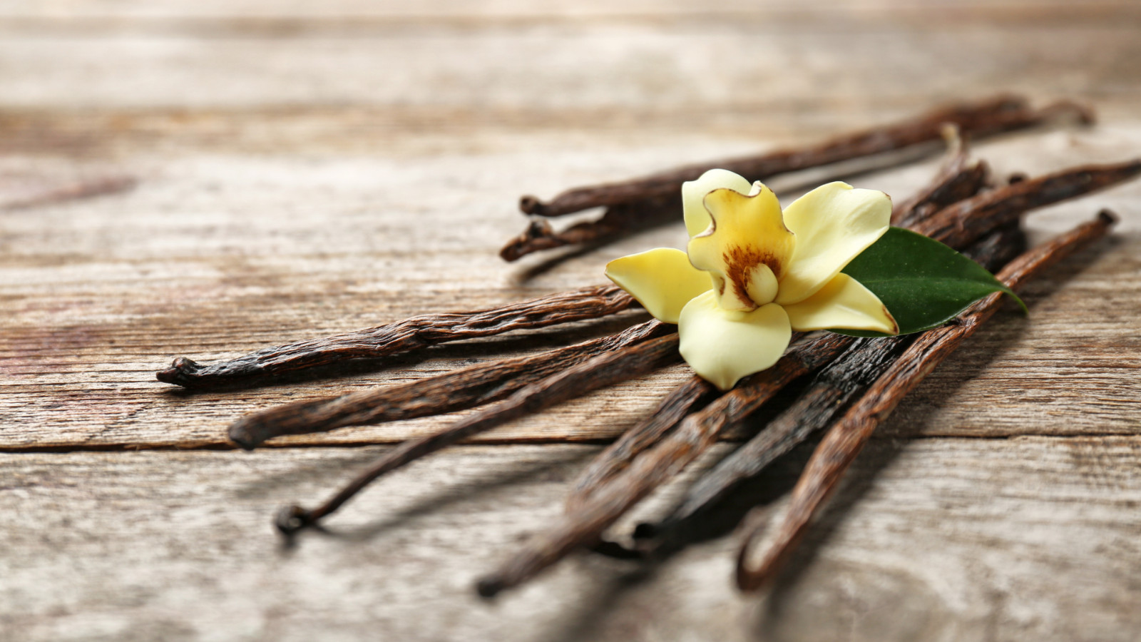 Indonesia Direct Source 30oz Vanilla Beans Grade A For Baking Free shipping