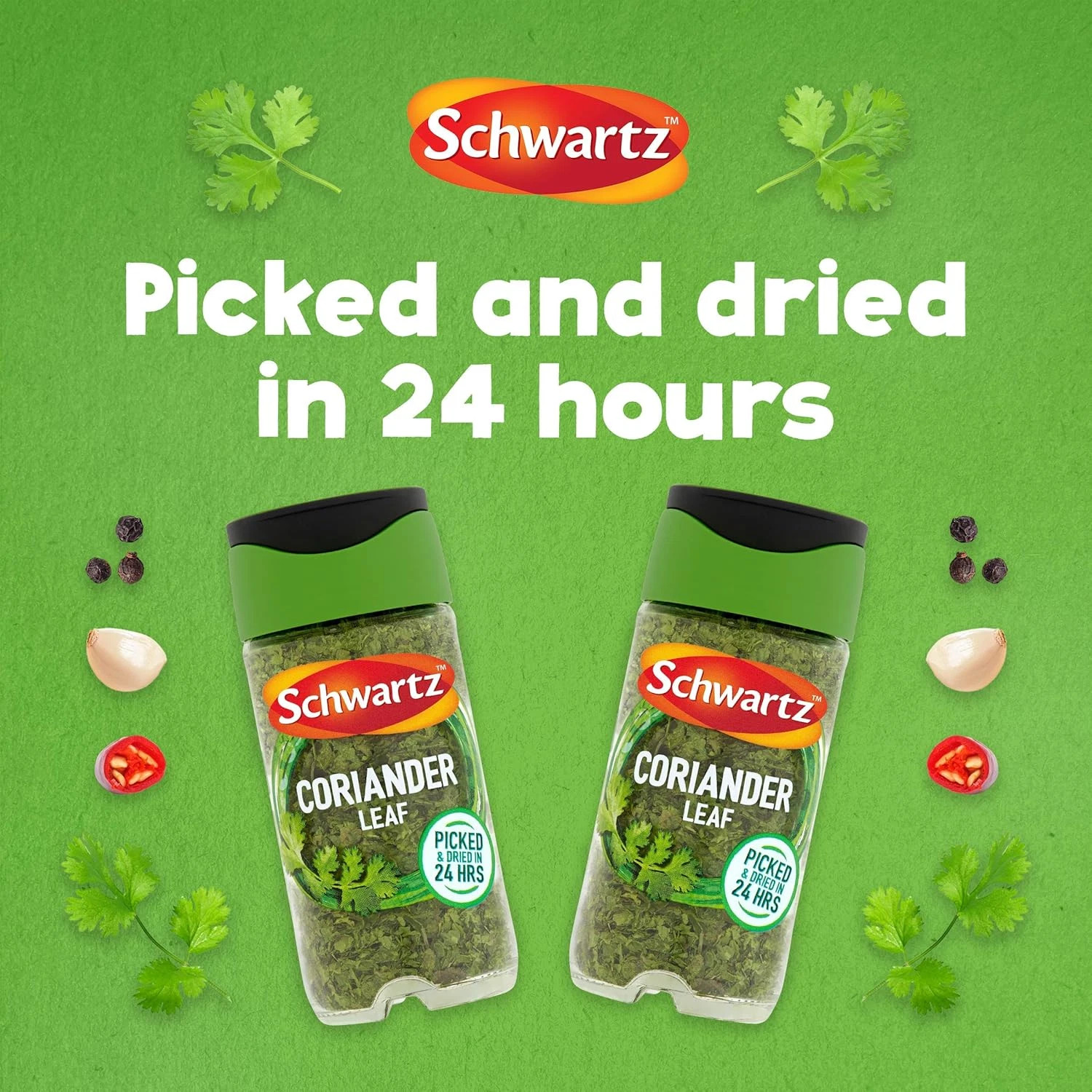 Schwartz Coriander Leaf Hand Picked 7g / 0.25oz Dried Herb Seasoning (Set Of 3)