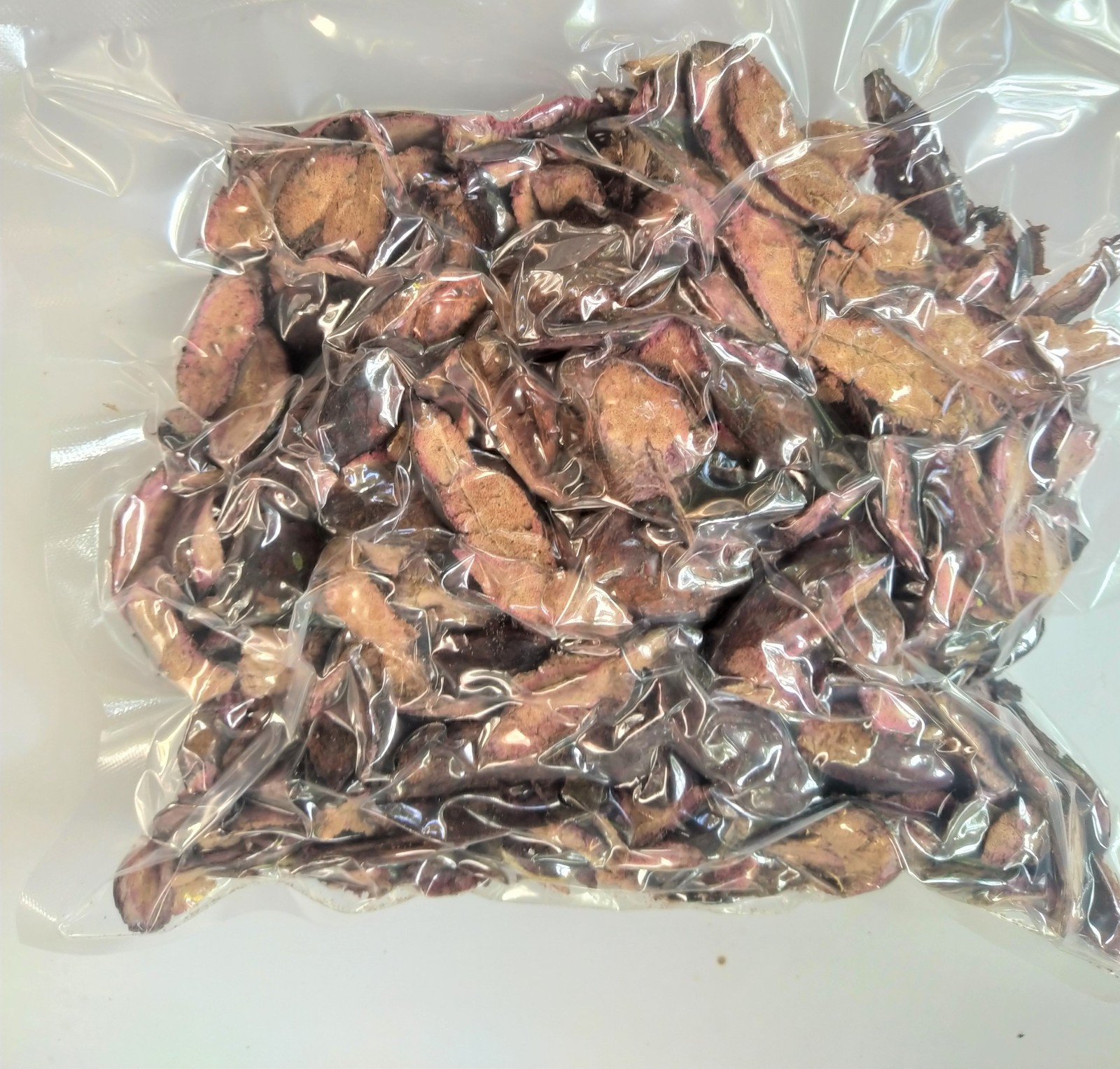 Indian Almond Terminalia Catappa Malabar Sea Beach Almond False Kamani 3.5-26oz