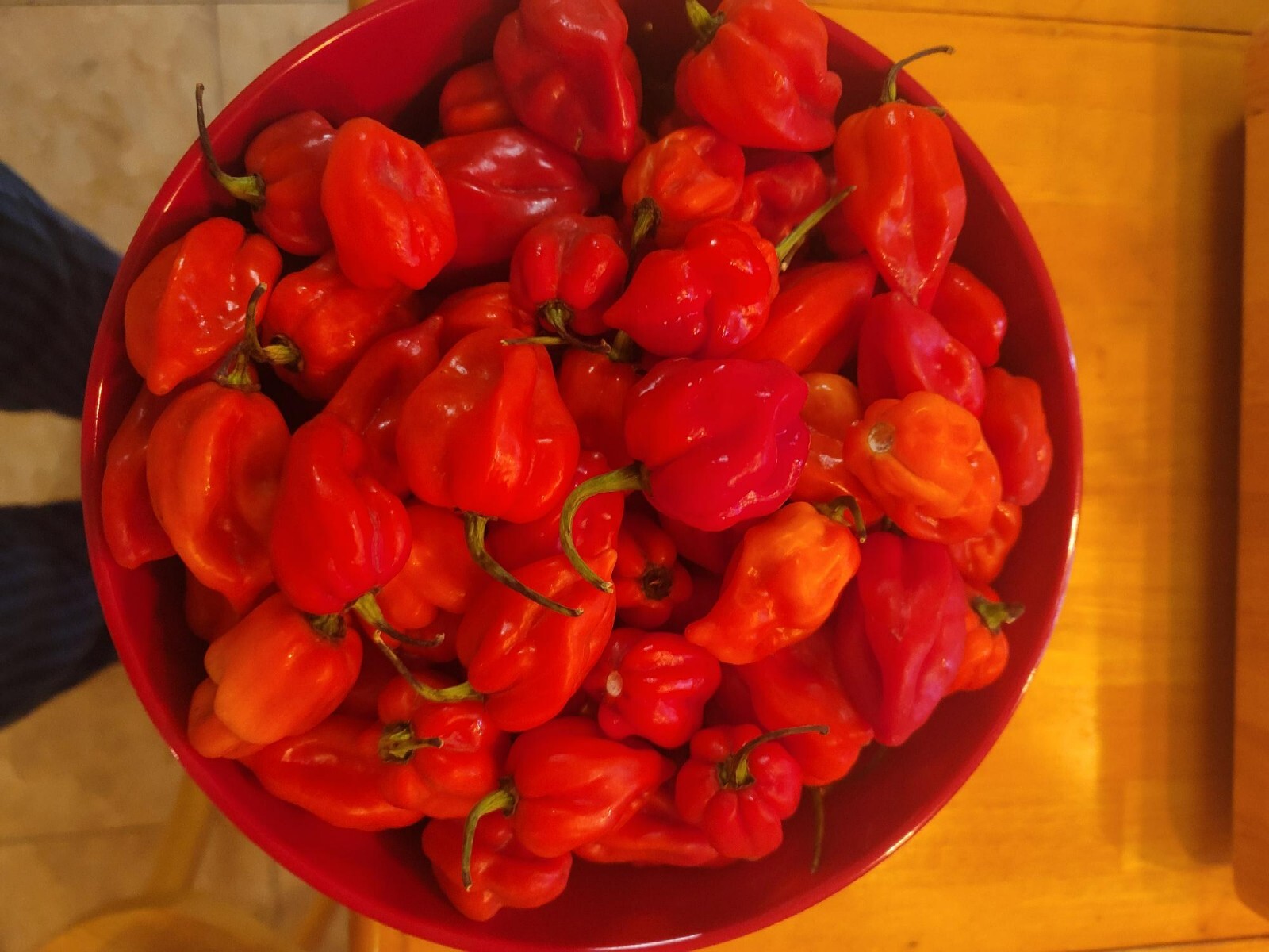 3 Pound Fresh Red Habanero Chili Peppers