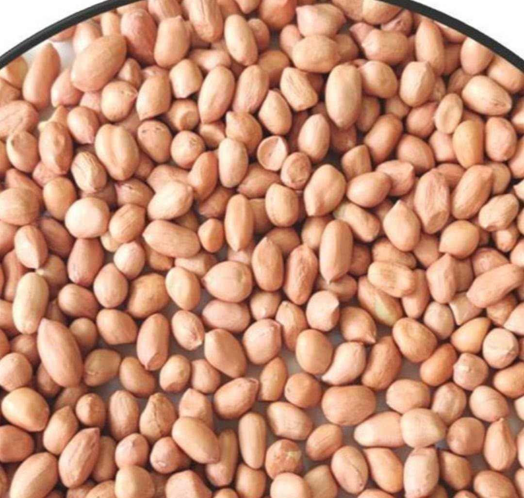 Natural Peanuts Raw Whole Groundnuts Fresh Premium Quality