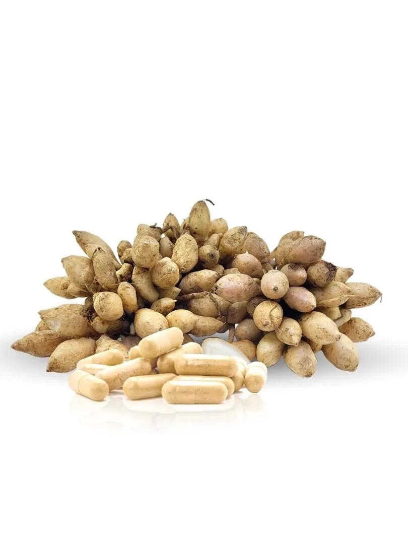 Temu Putih Extract Natural Organic Herbs Spices Fresh Pure Hygienic Premium