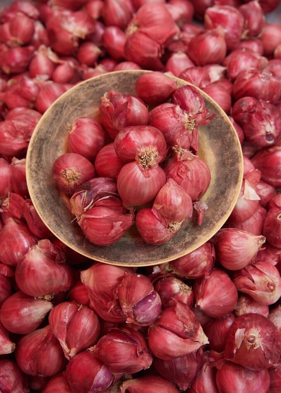 Organic Red And White Onion Peels Dried Homemade Fertilizer Natural 100%