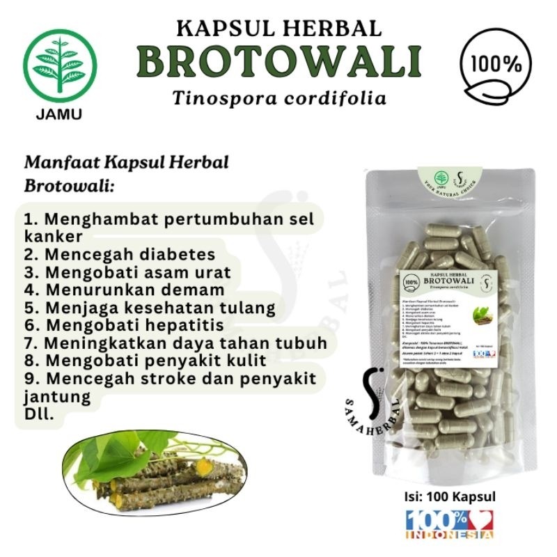 Herbal Brotowali Capsules 100pcs Natural Herbal Capsule Supplement Botanical