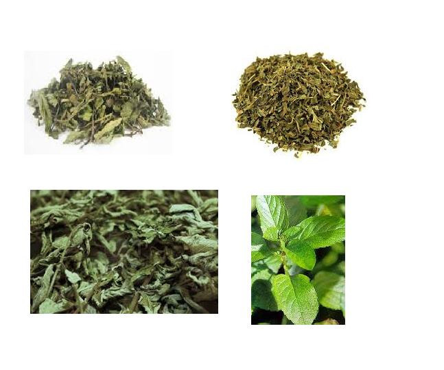 Dried Mint Leaves 3 oz = oz. [Used for herbal tea world FAST FREE SH