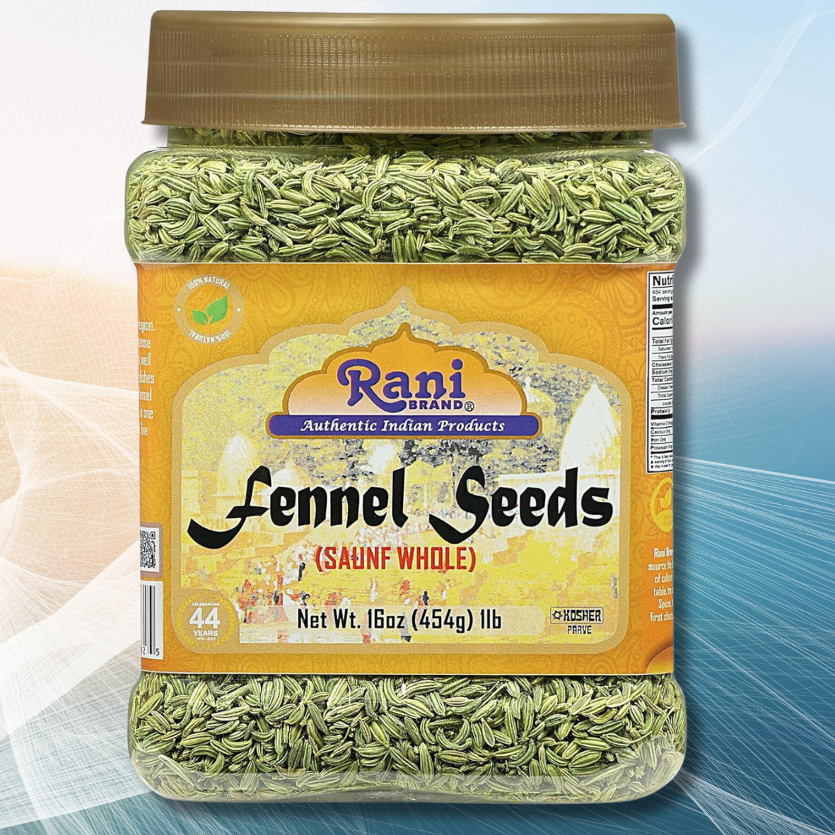 Rani Fennel Seeds (Saunf Sabut) Whole Spice 16oz (1lb) 454g PET Jar