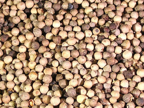 Organic White Peppercorns QAI Pepper corn 1 ounce to 1 pound size Piper nigrum