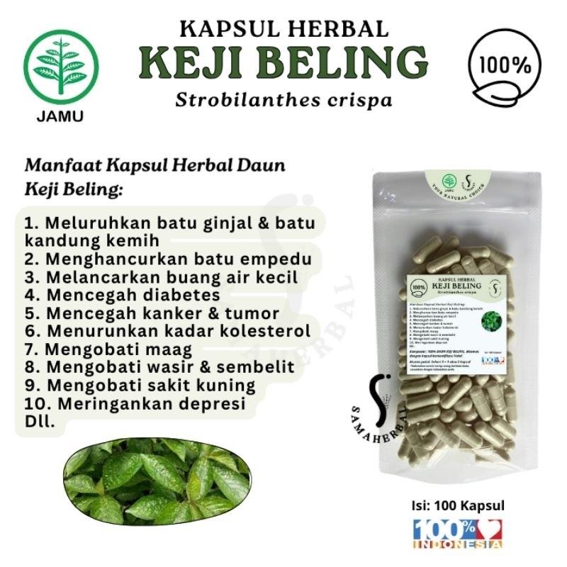 Herbal Keji Beling Capsules 100pcs Natural Herbal Capsule Supplement Botanical