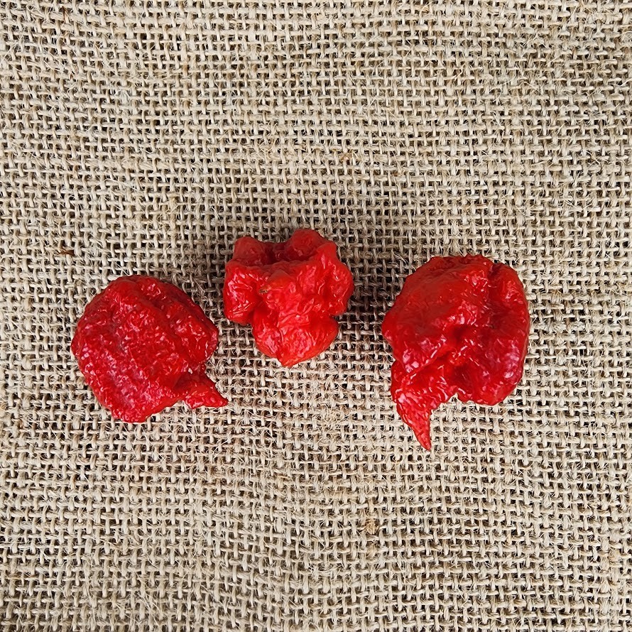 Carolina Reaper & Trinidad Scorpion Pepper Flakes | 1,000,000+ SHU |Free Ship