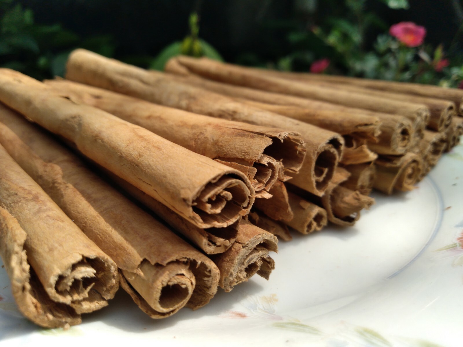 Ceylon Cinnamon sticks – Organic High Quality Pure Natural True Sri Lankan 100 g
