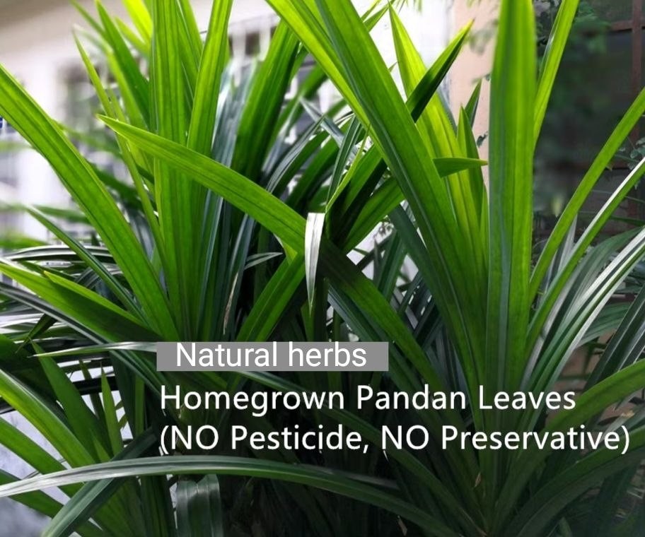 Organic Dried Pandan Leaves Nature Aroma for Herbal Drinks Baking Dessert
