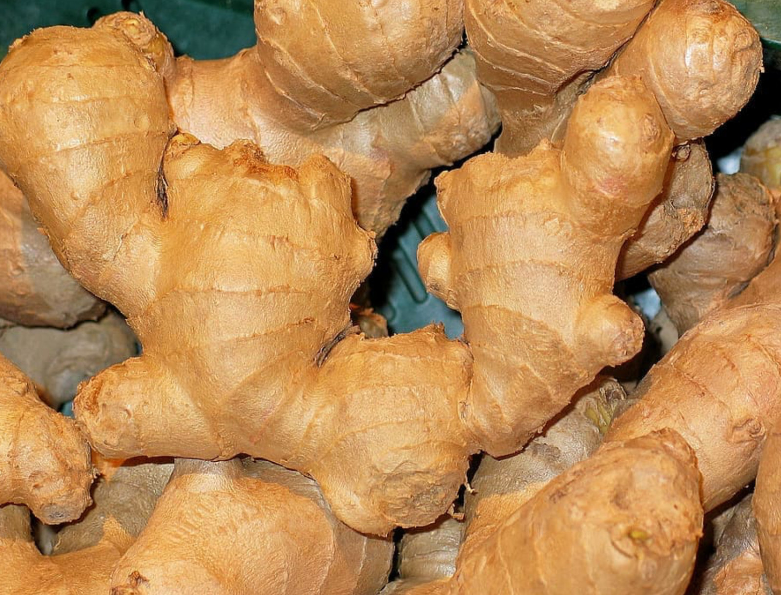 0.5- 3.5 Ibs – Fresh Ginger Root Organic USDA Certified