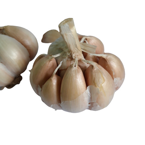 HEIRLOOM GARLIC BULBS WHOLE UNPEELED Sri Lankan Organic Fresh Quality 250g NEW