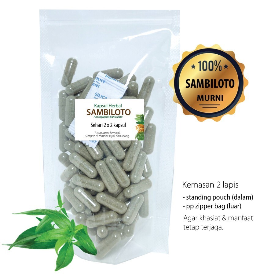 SAMBILOTO 100 Capsules Organic Herbs Spices Fresh Pure Hygienic Premium