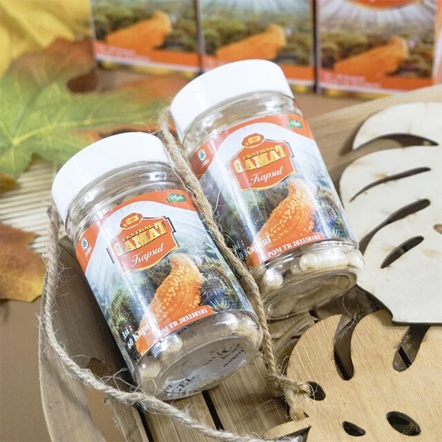 Ekstrak Gamat Powder Caps Natural Organic Herbs Spices Fresh Pure Hygienic