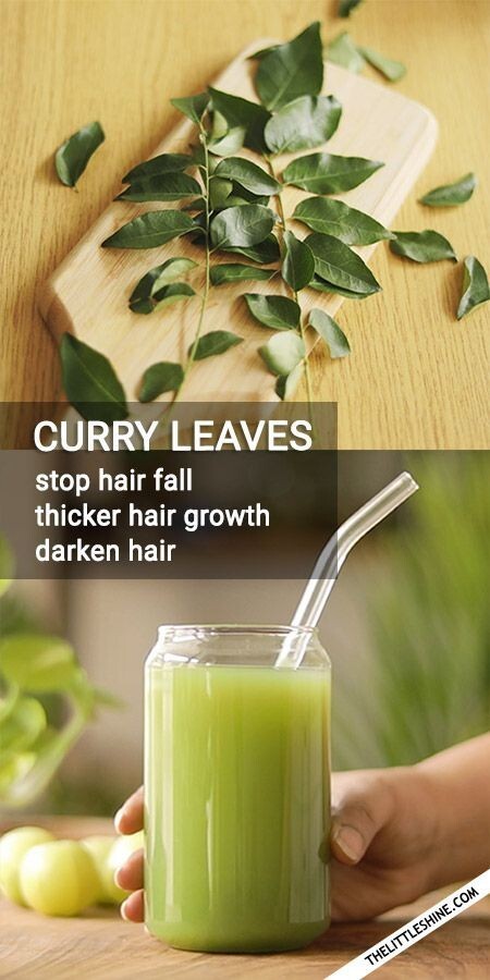 Leaf, Dried Curry leaves 100% natural Sri Lanka Product