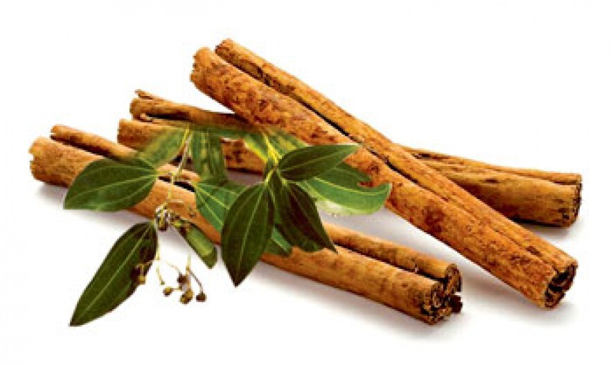 High Quality Cinnamon Stick Made In Sri Lanka/ Ceylon ALBA 100% Organic Pure