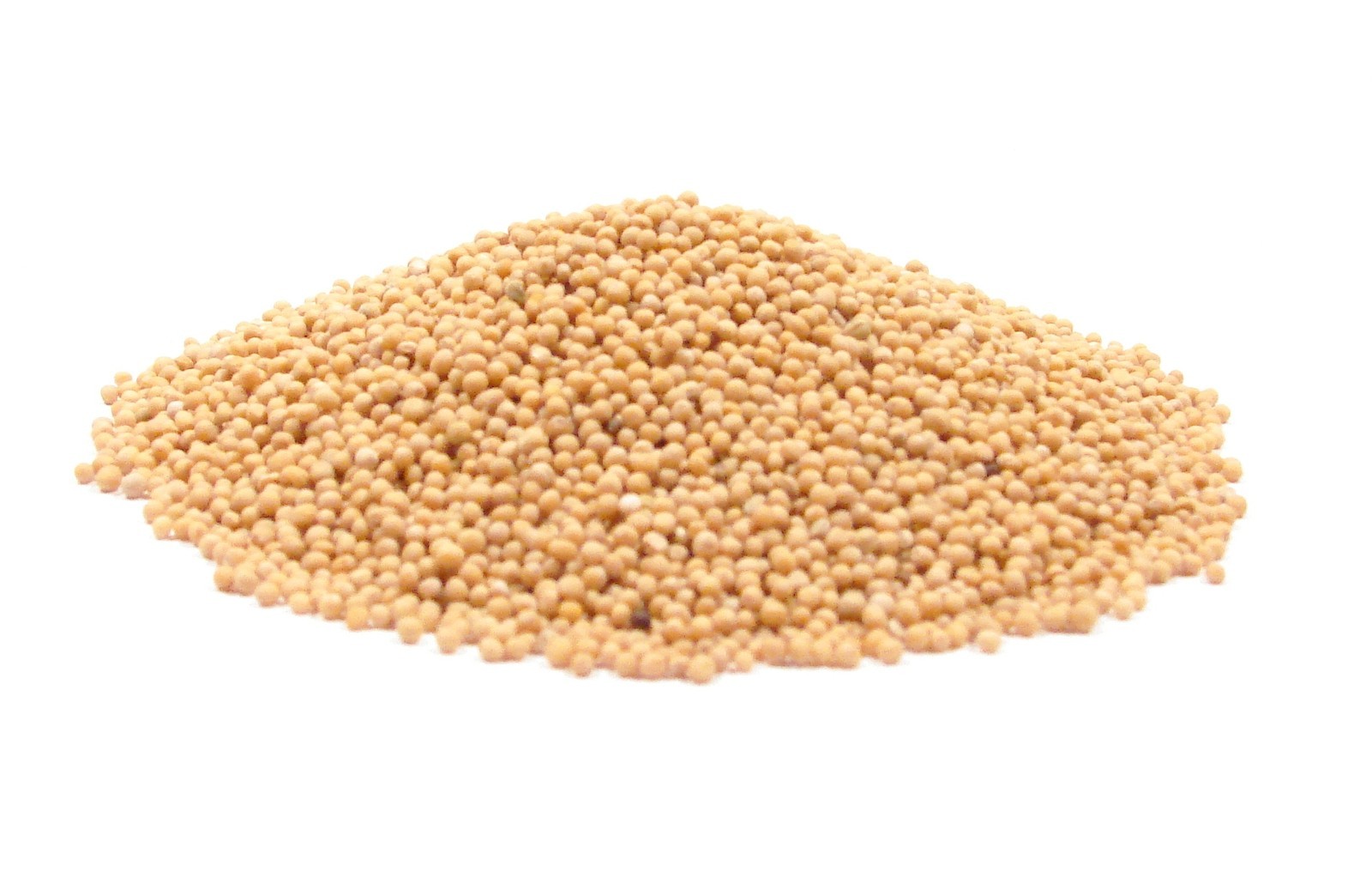 Yellow Mustard Seeds, USA Grown Open Pollinated Non-GMO Natural – 2 Lbs