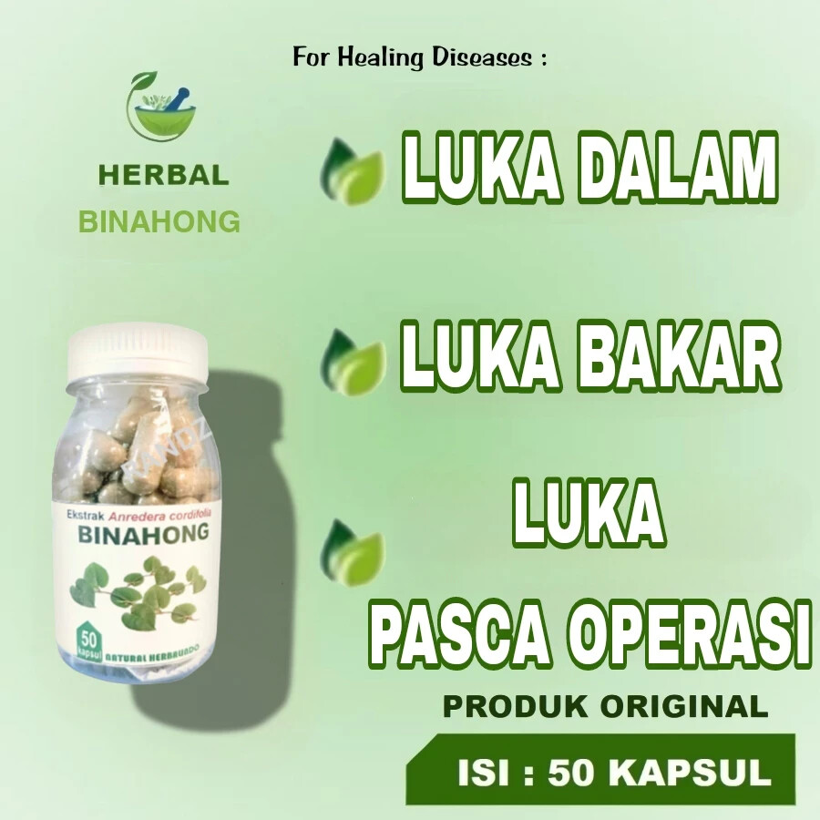 Binahong Natural Organic Herbs Spices Fresh Pure Hygienic Premium Original