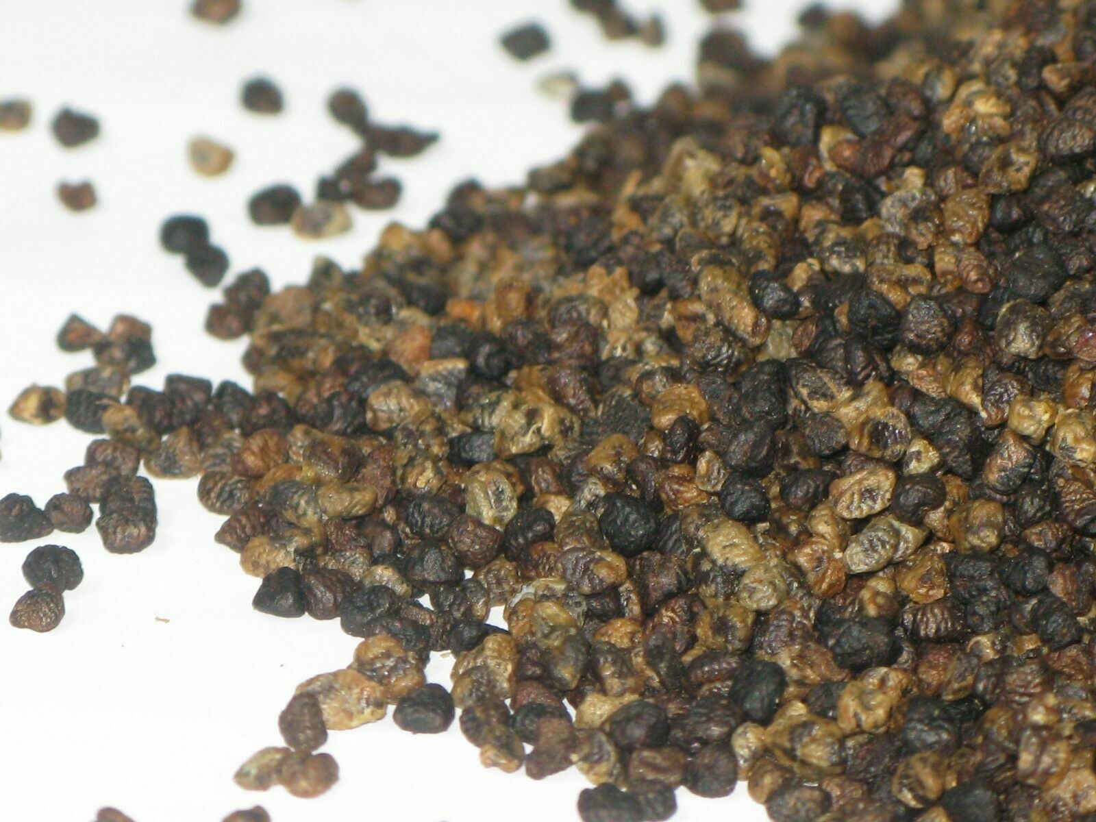 Cardamom Seeds 14 oz – No Pod – Fresh – Vacuum Sealed Bag – Free Ship