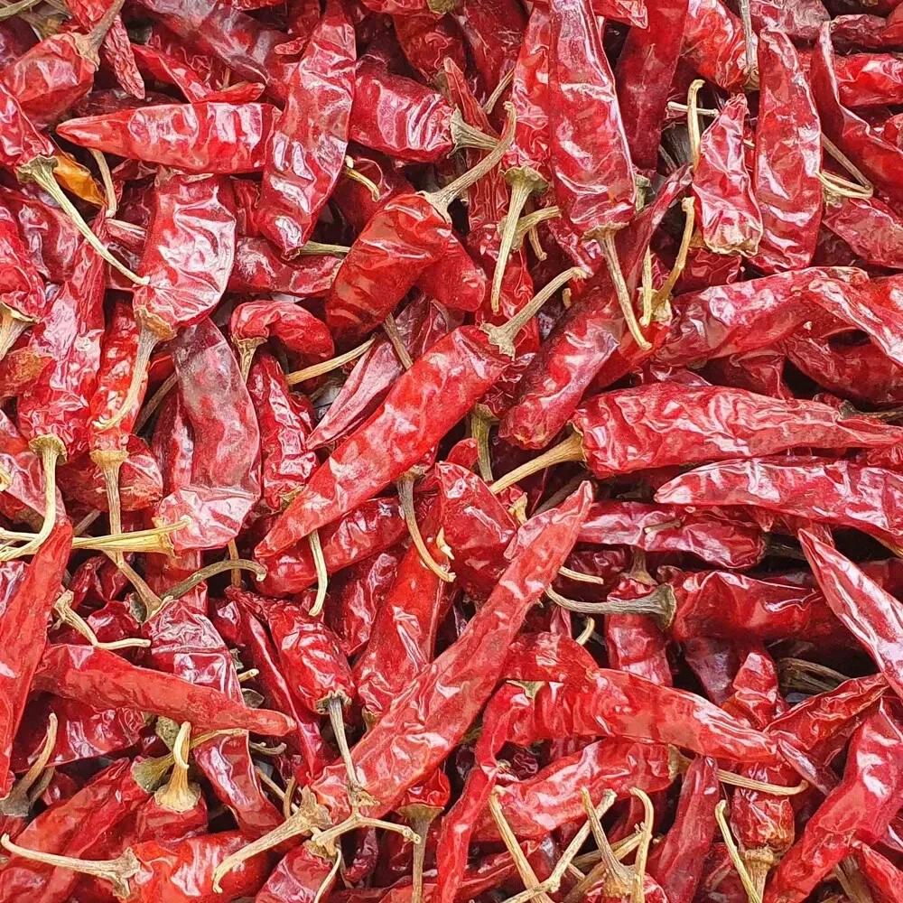 Indian Spices Masale Red Chilli Laal Mirch Sabut Pure Organic 250 gm C107
