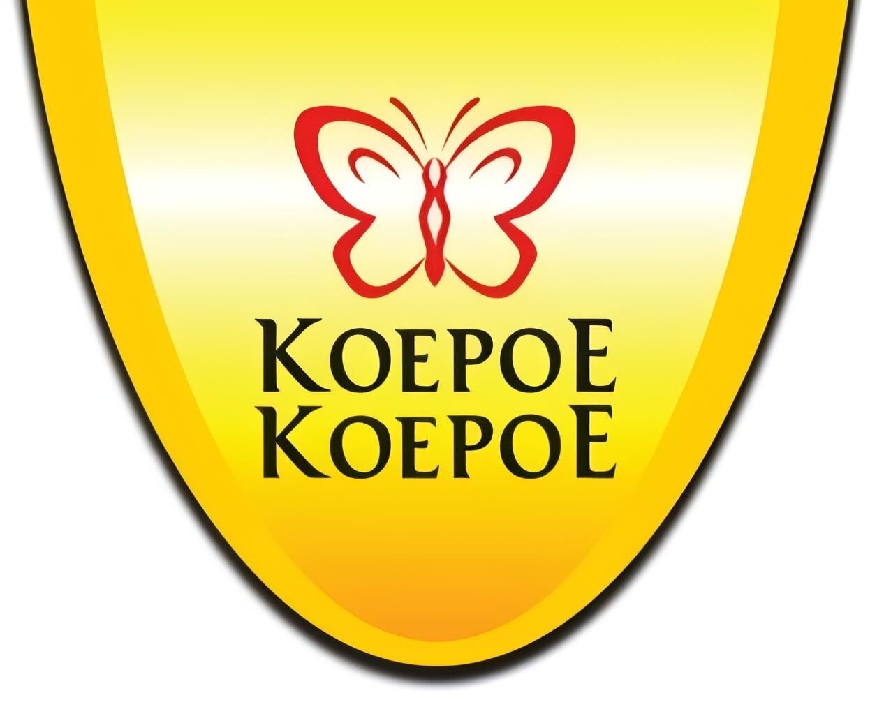 Koepoe Koepoe, Rempah Rempah, Bumbu Gulai, Gulai Seasoning, 22g (Pack of 1)