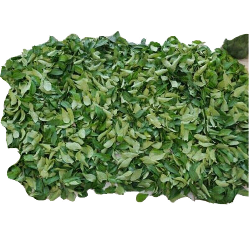 Ceylon Dried Curry Leaves 100g 100% Organic Fresh Premium Quality Herbs New