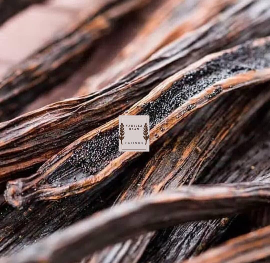 Premium Vanilla Beans Madagascar Bourbon Grade A | 6″++ Long Beans