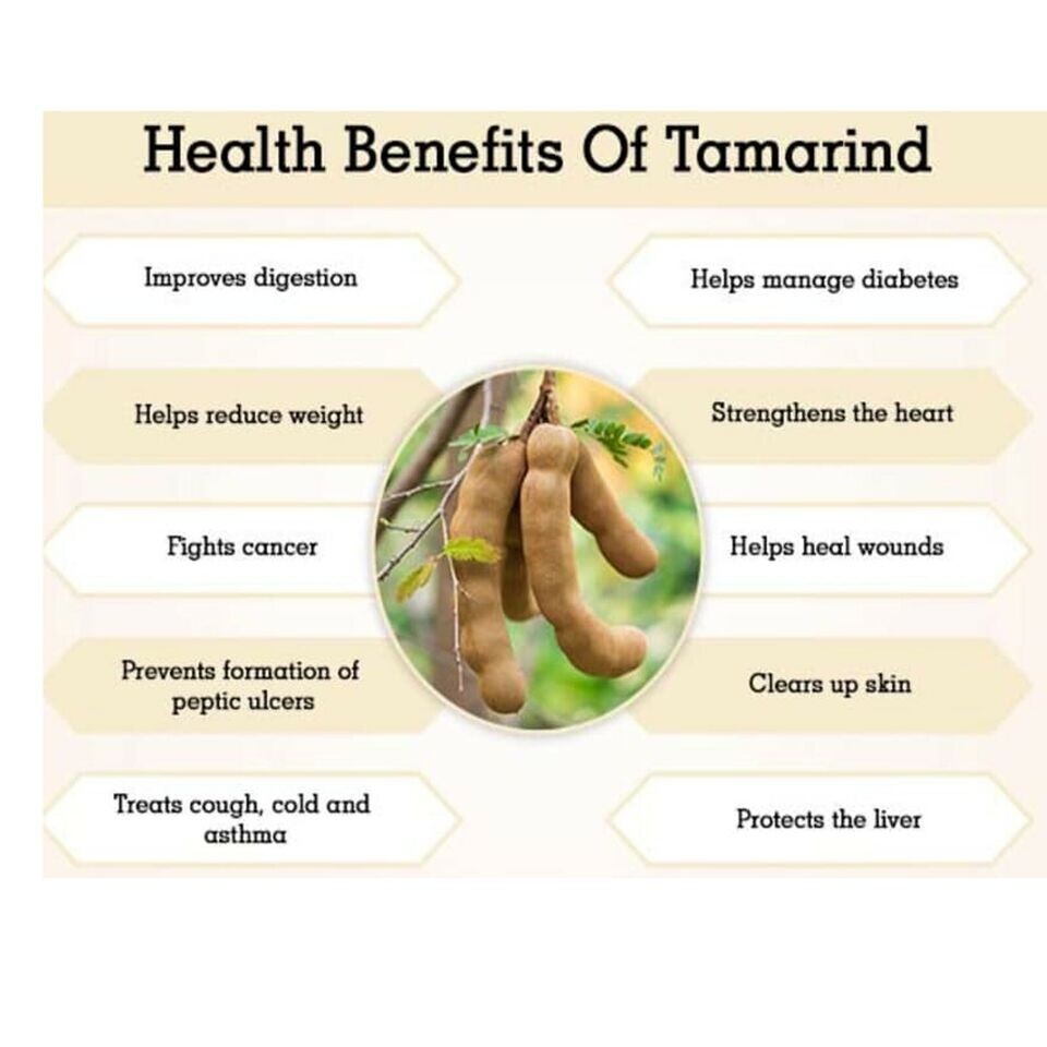 Tamarind Paste Without Seeds PREMIUM Quality organic Grade A No GMO,MSG,siyambal