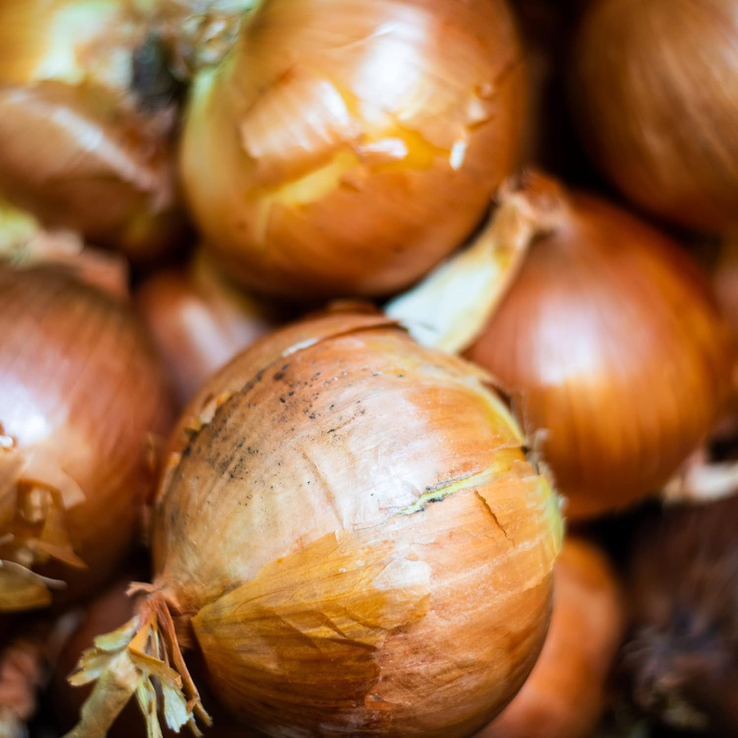 Organic Chopped Onion, 1 Pound, Dried & Chopped Sweet Organic White Onion, Koshe