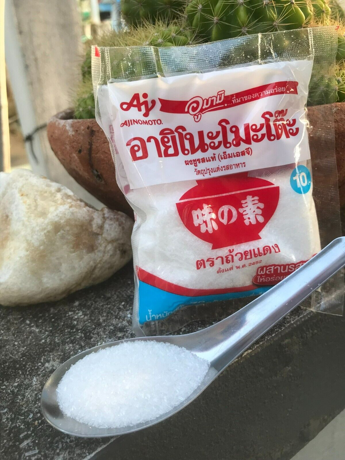 72 g Ajinomoto Monosodium Glutamate MSG Umami Flavor your Favorite Food Cooking