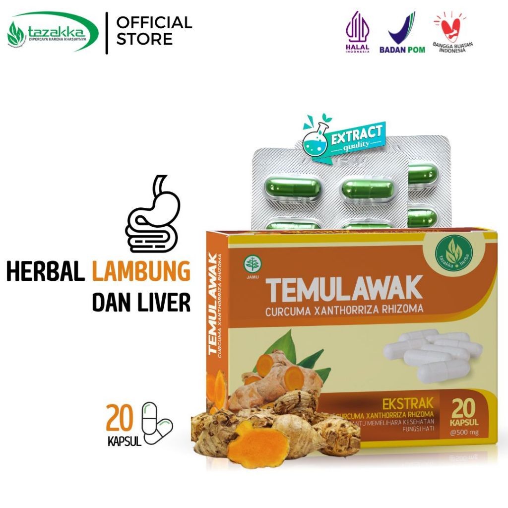 3x Temulawak Herbal Capsules 20 capsules bundle aroma ritual