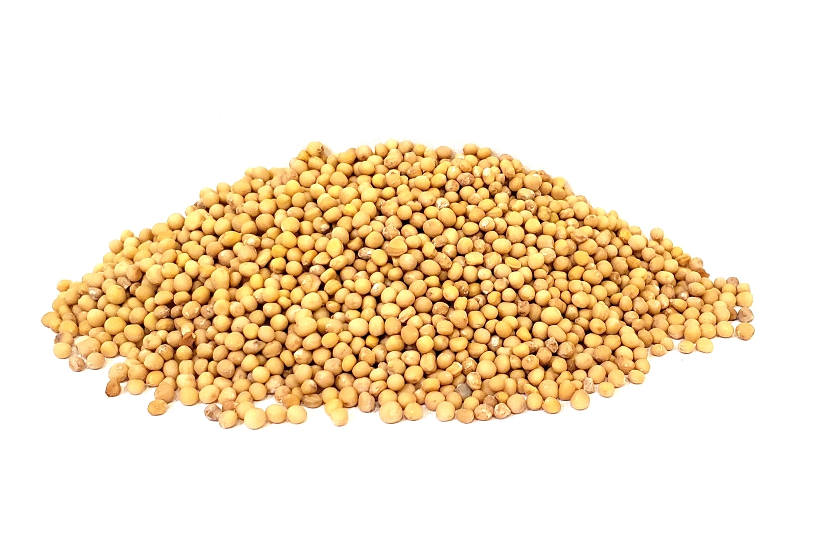 The Spice Way Yellow Mustard Seeds