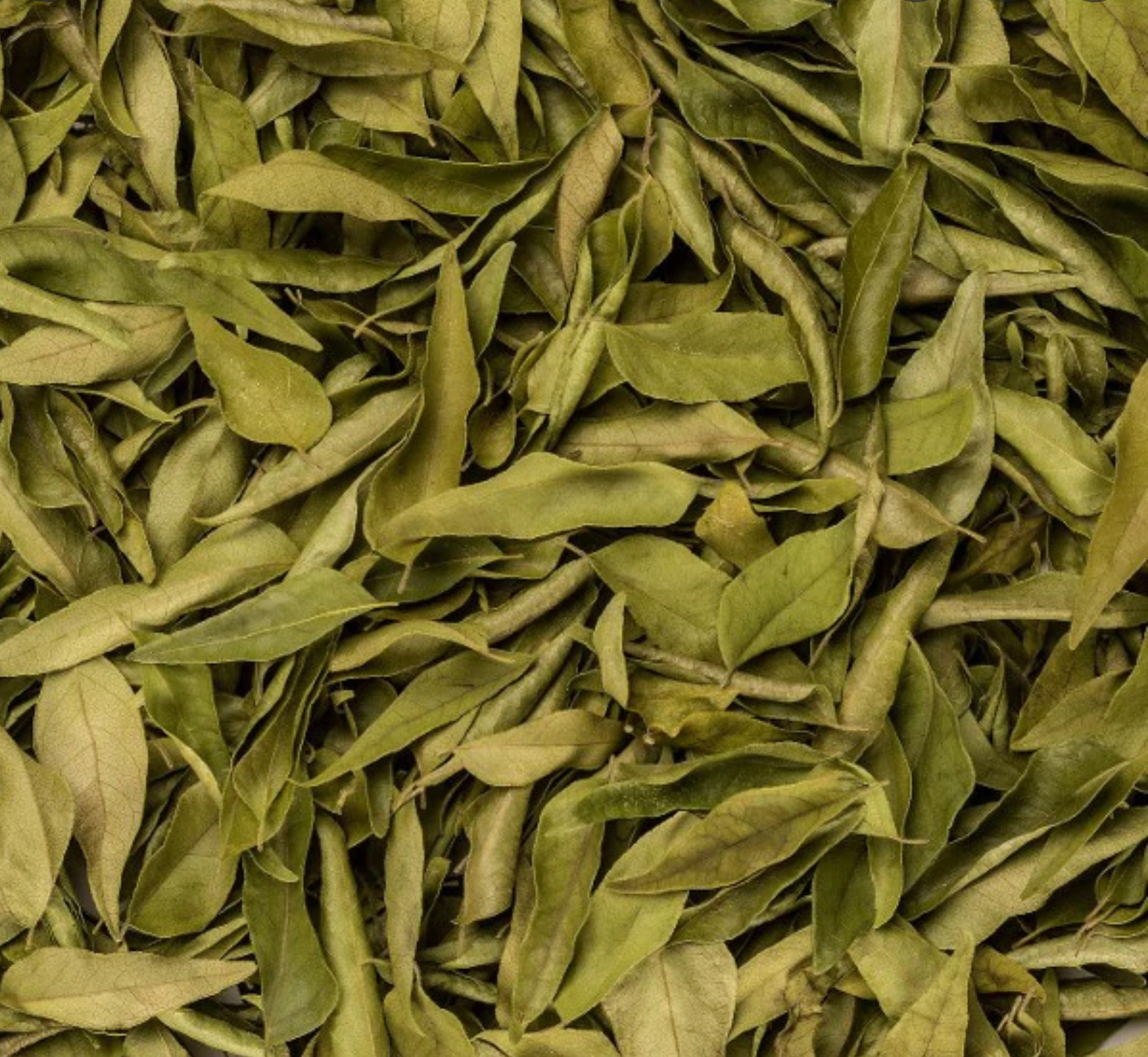 Leaf dried curry leaves 100% Natural Sri lanka product (30g)