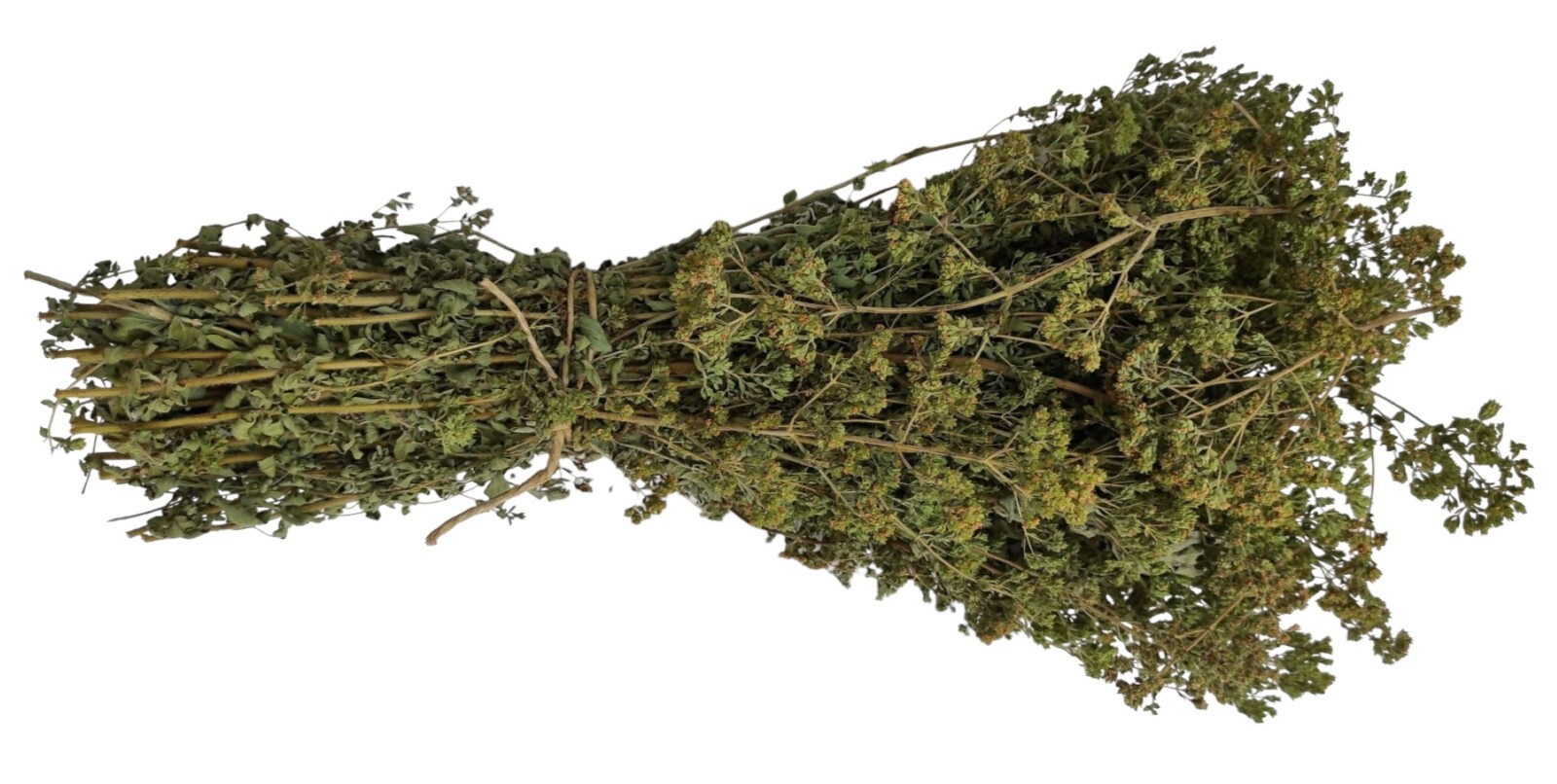 Certified Organic Greek Dried Mountain Oregano Bunch 460g – Origanum vulgare