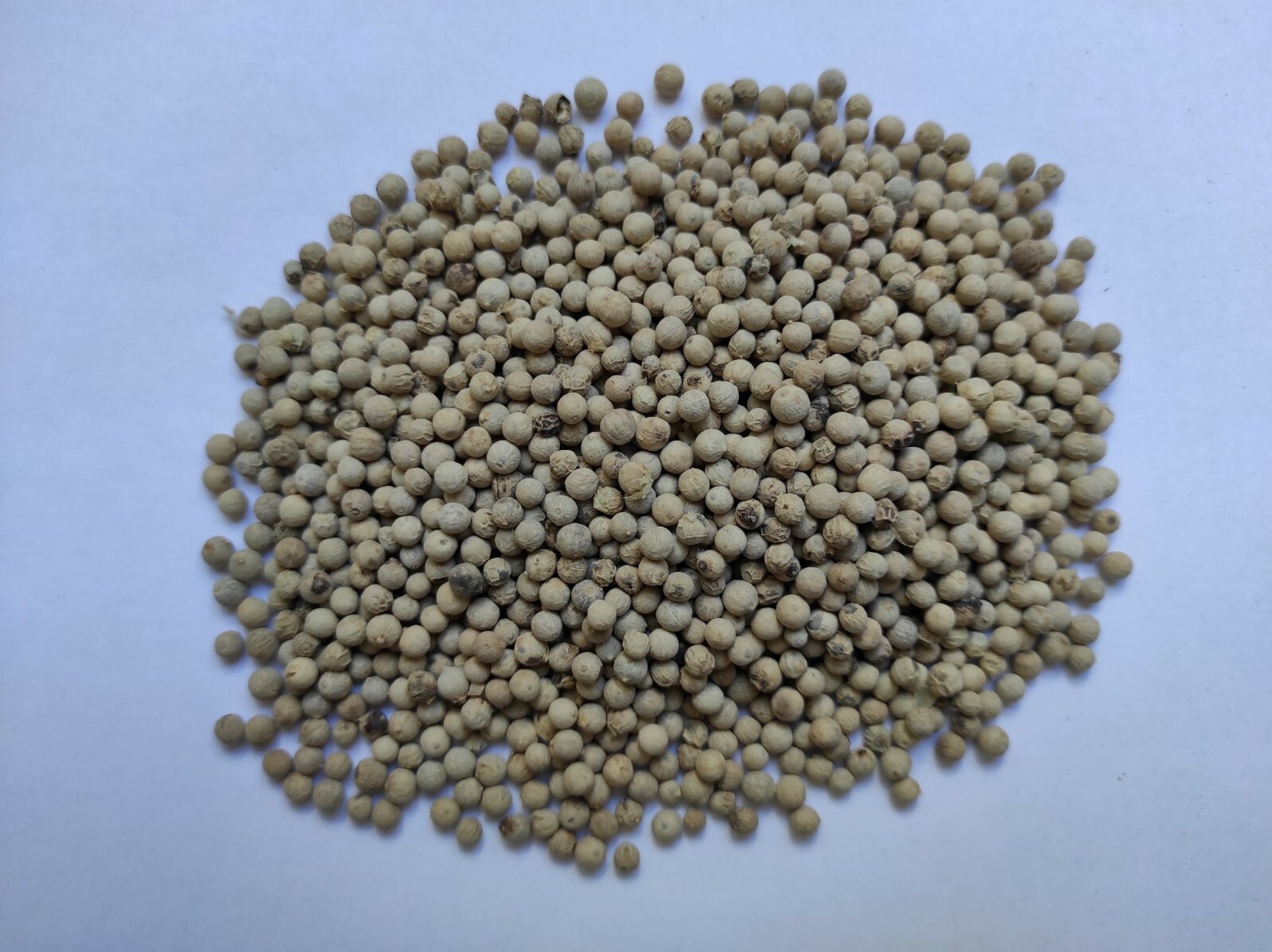 Whole White Peppercorns White Pepper 460g | Exceptional Quality