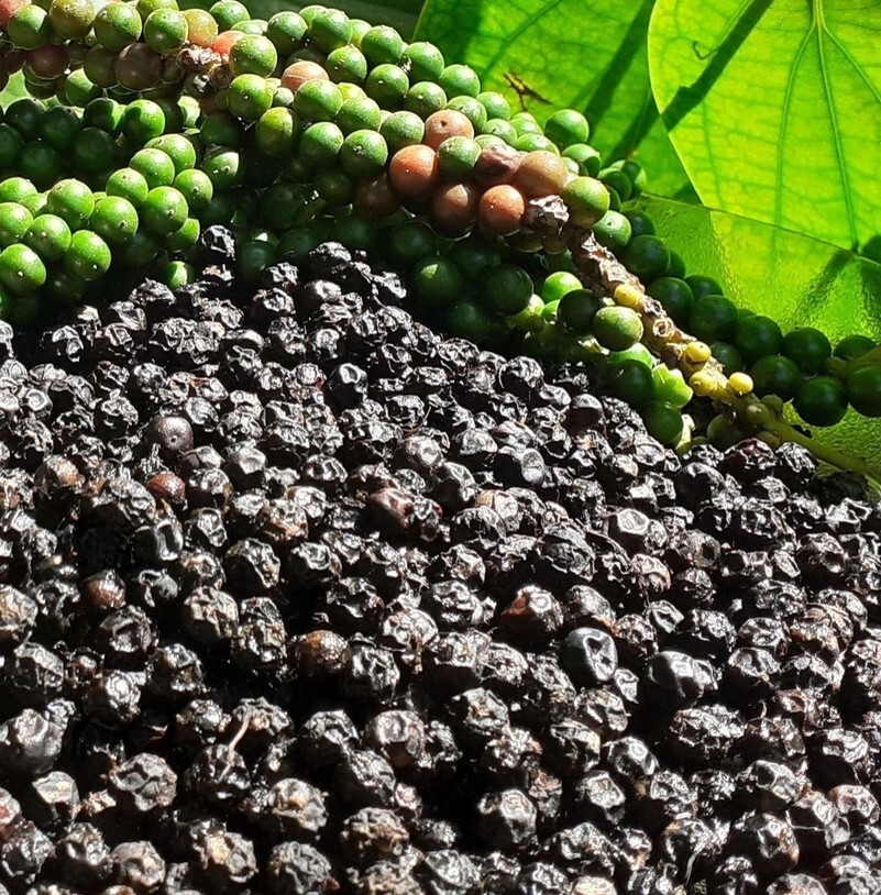 Homemade Sri Lankan Black Pepper 100% Sun Dried Ceylon Spices..