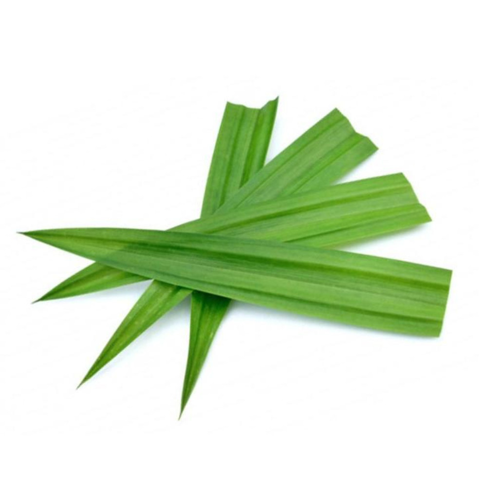 high quality dried pandan leaves 100 % pure organic rampe leaves( 100g )