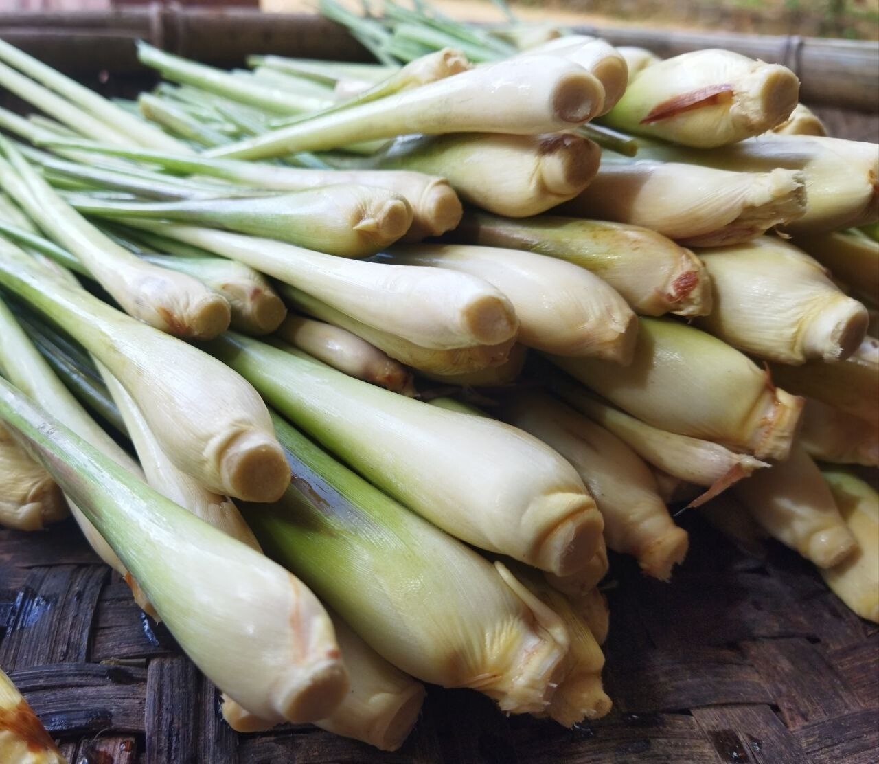 2 oz Lemongrass Dried Ceylon Cut Leaves Herbal Organic Pure Natural Quality