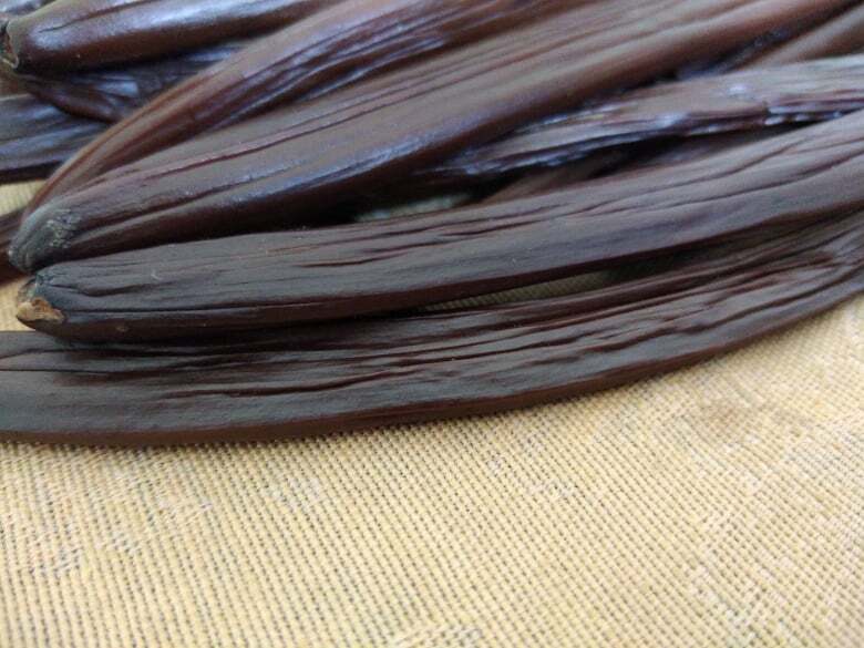 Ceylon Vanilla Beans 100% Natural Organic Grade A+ 17cm – 3 / 6 / 10 pcs