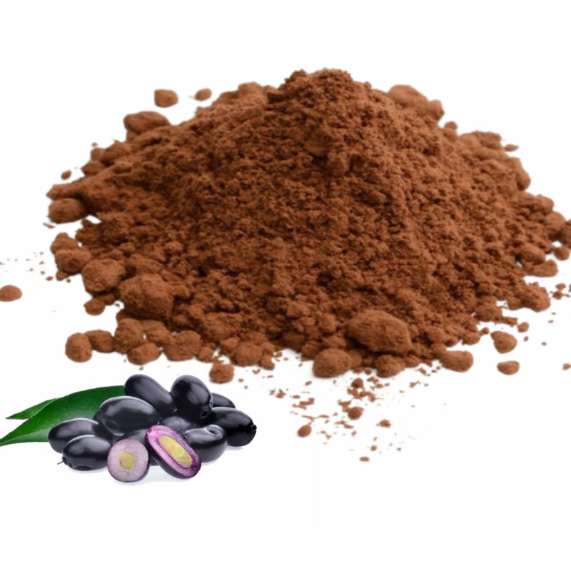 Jamun Seed Powder Java Plum Powder Natural Herbal Fresh Pure Fine Powder