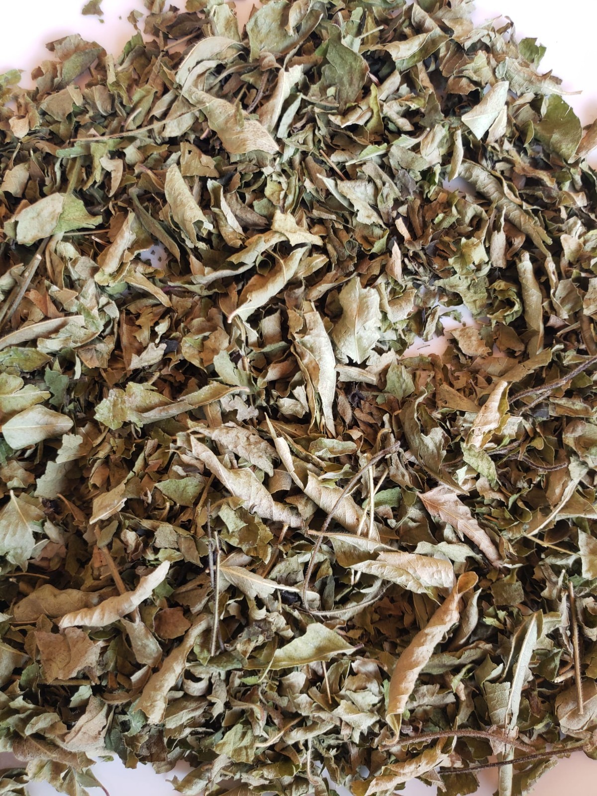 Dry Curry Leaves Premium Quality Curry Leaves Bulk Leaves 2 oz package