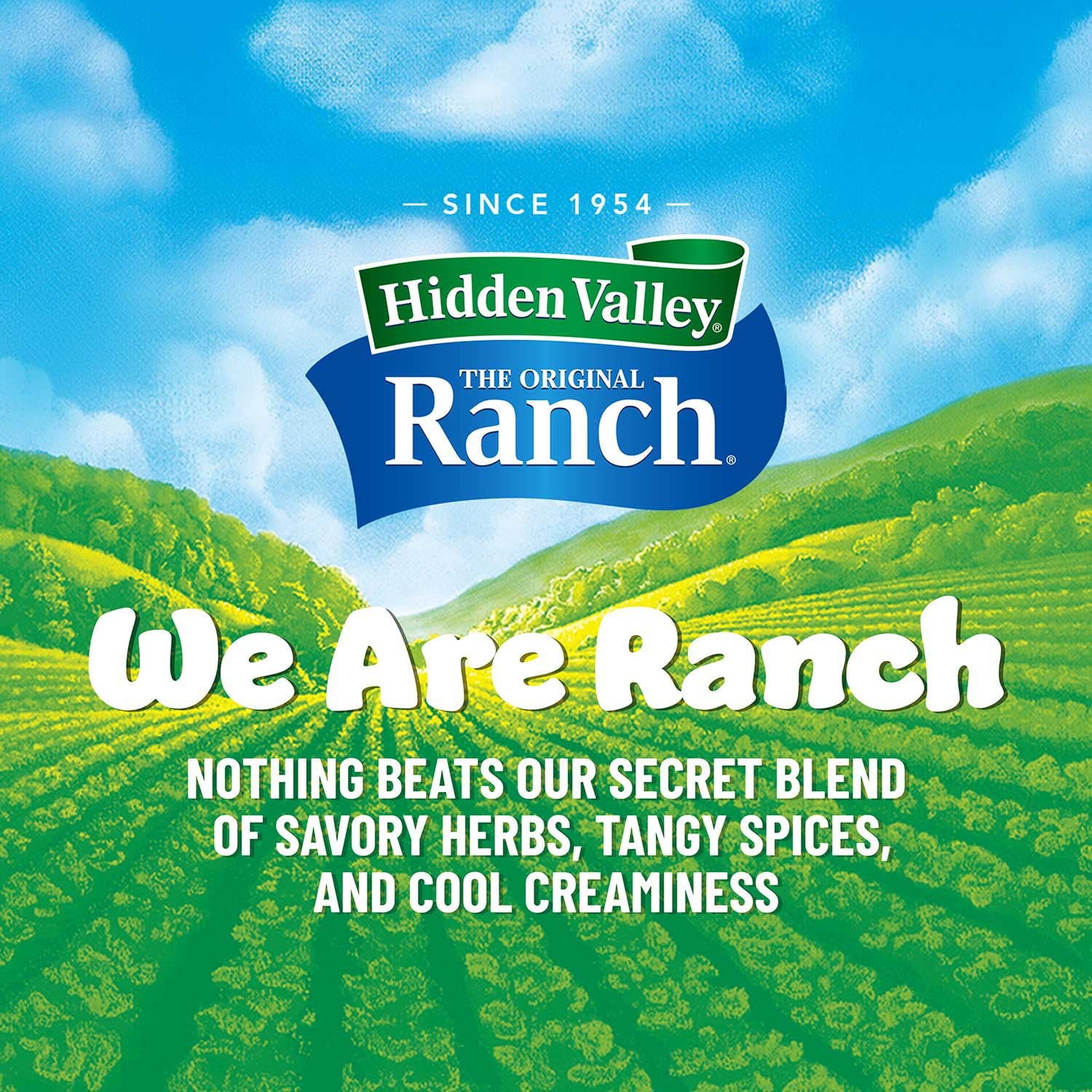 Hidden Valley Original Ranch Salad Dressing and Seasoning Mix (16 Oz.)