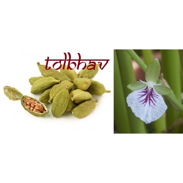 100% Natural Pure Premium and Best Quality Spice Green Cardamom Pod From India