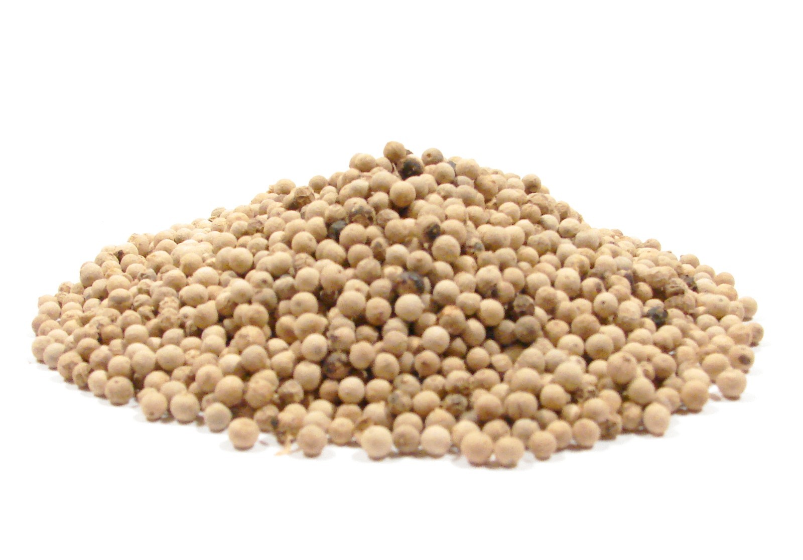 White Peppercorn – 1 Pound – Bulk Superior Grade Traditionally Farmed Vietnamese