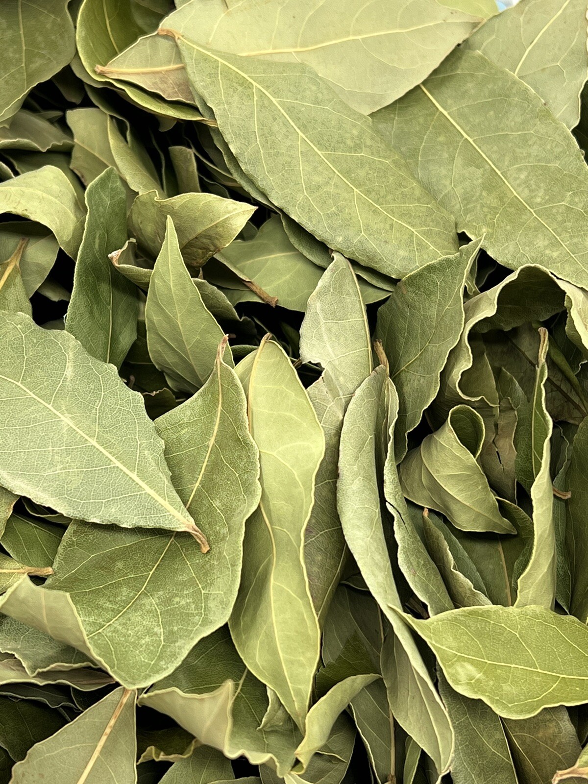 Bay Leaf Dried Cut Leaves Organic Laurus Nobilis 100% Culinary 1 OZ