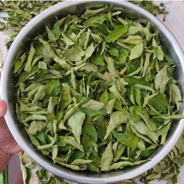 Curry Leaves Organic Natural Dried Ceylon Leaf 100% Pure Premium Fresh powder