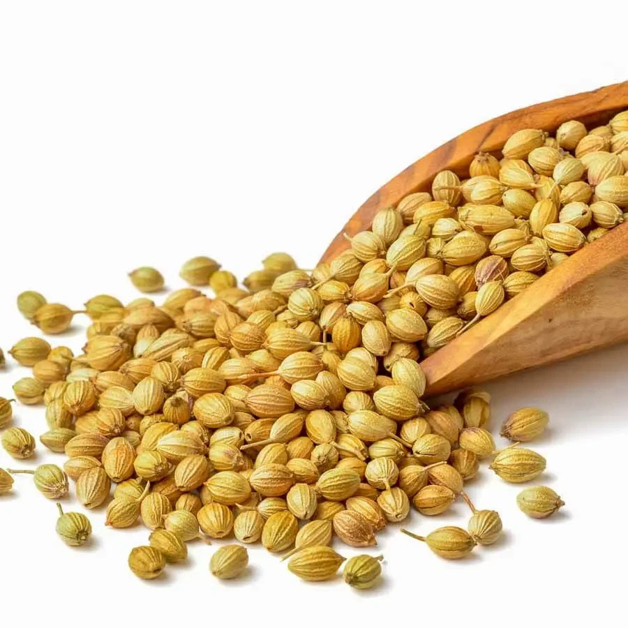 Coriander Seeds Whole Item Weight 4oz-5lb